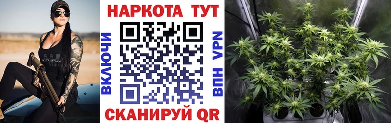 Где продают наркотики Тетюши Бутират Псилоцибиновые грибы Гашиш Меф А ПВП Бошки Шишки